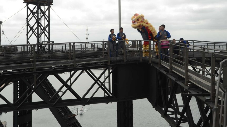 A traditional Chinese lion dance is performed on top of the Sydney Harbour Bridge as a preview to the Chinese New Year.