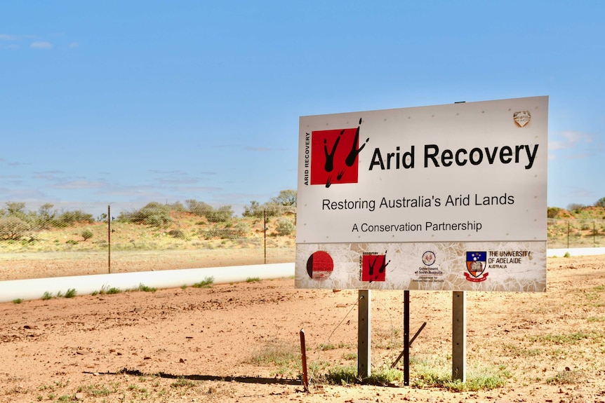 A large white sign with red letters saying 'Arid Recovery' sits in front of a long and high wire fence.