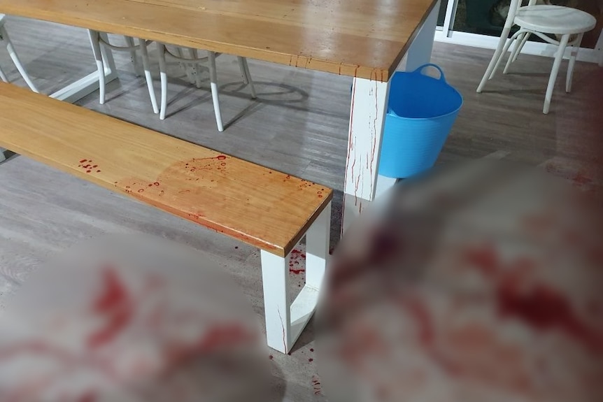 Censored picture of blood on the ground next to a table and bench.