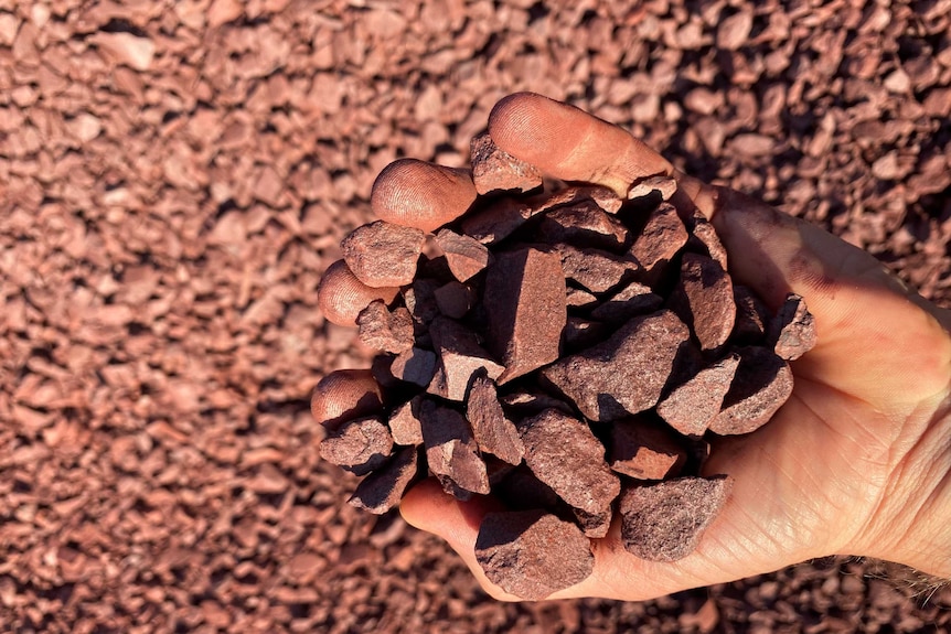 A man is holding a handful of iron ore in the NT.