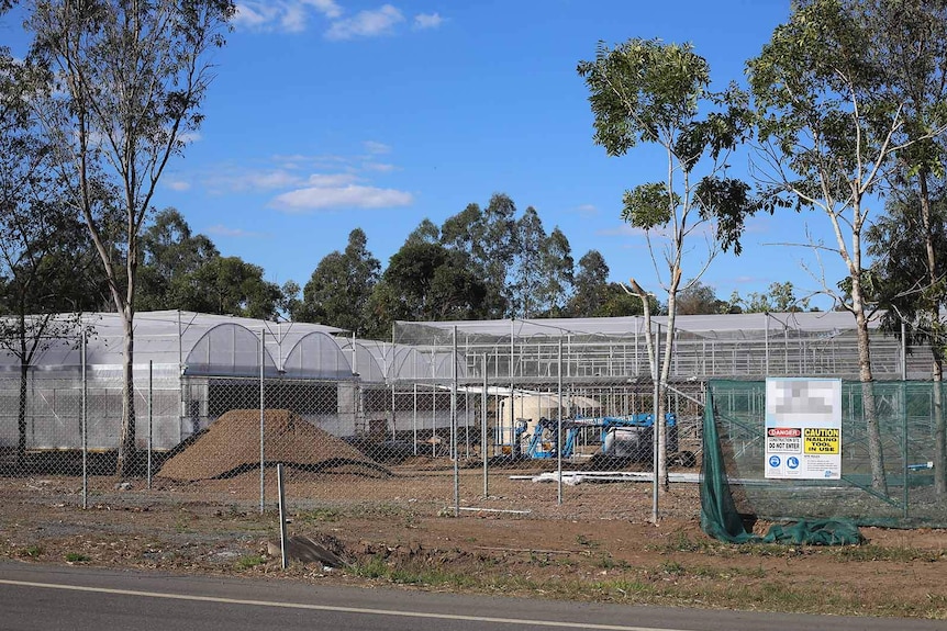 Growing sheds under construction behind a cyclone wire fence