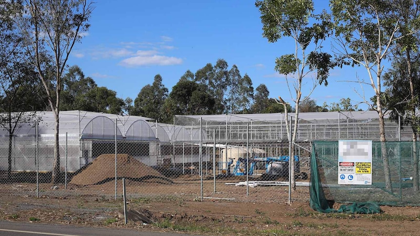 Growing sheds under construction behind a cyclone wire fence