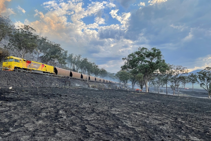 A train next to a burnt paddock