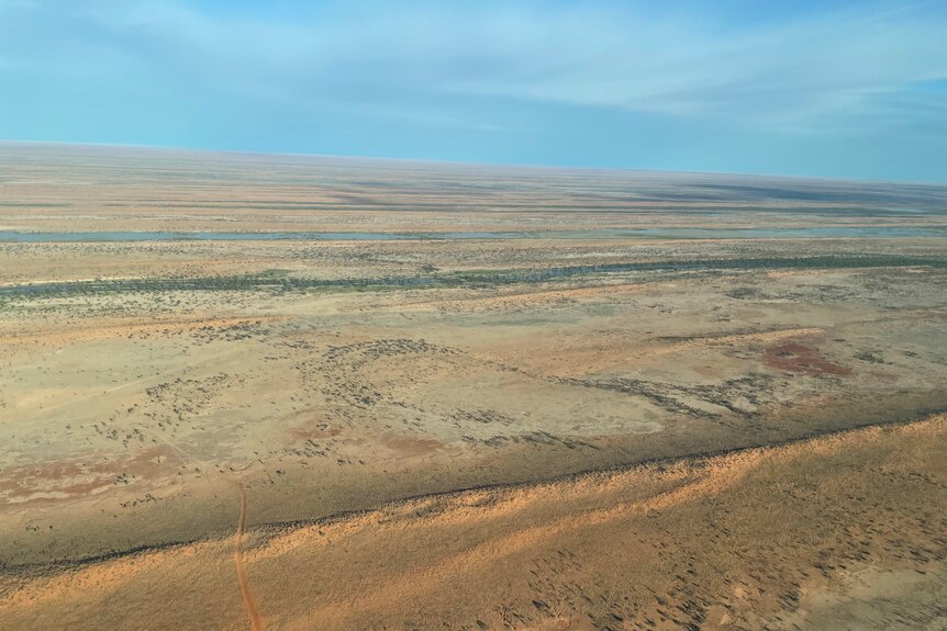 An aerial shot of sandhills through Channel Country, taken near Birdsville