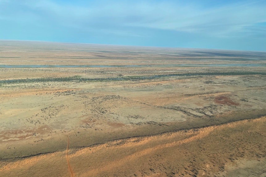 An aerial shot of sandhills through Channel Country, taken near Birdsville