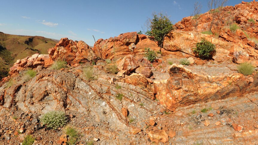 A rock cliff in the Dresser formation in the Pilbara