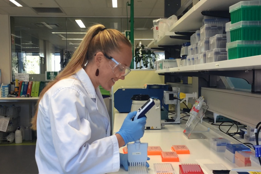 James Cook University PhD student Ashton Gainsford working in her lab.