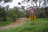 Maranoa River in flood at Springfield Station at Mitchell, on December 7, 2011,