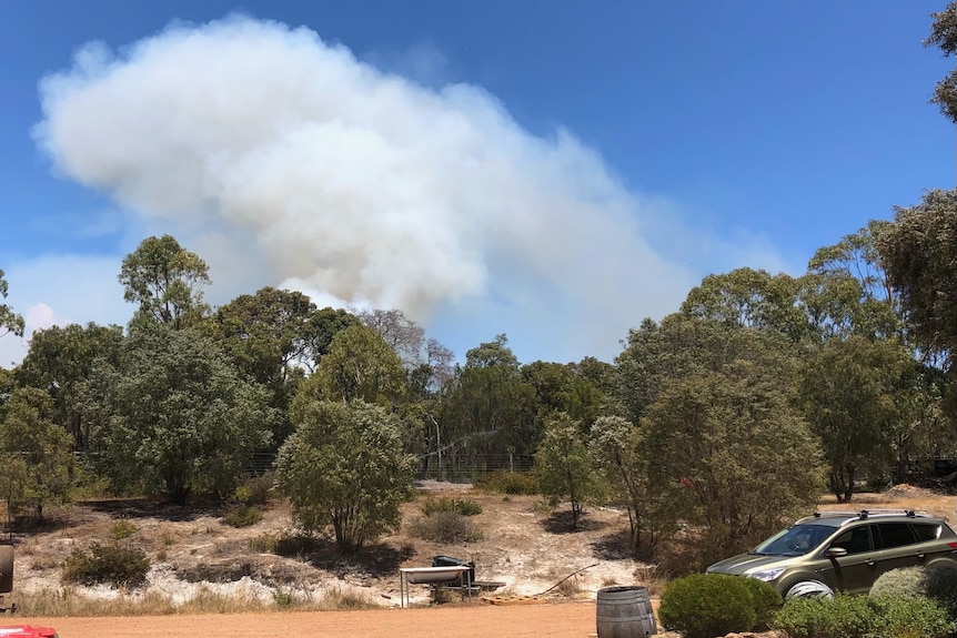 smoke seen coming out of a forest 