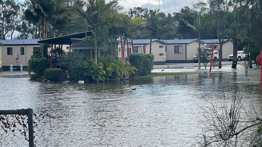 Flood-hit tourism operators identified to bounce again pursuing intense NSW weather