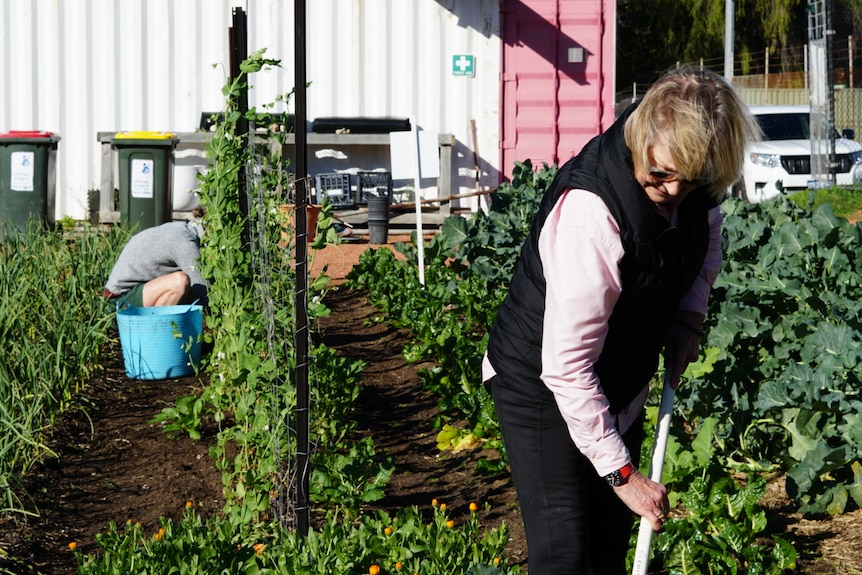 Volunteers at work at North Fremantle Social Farm. 