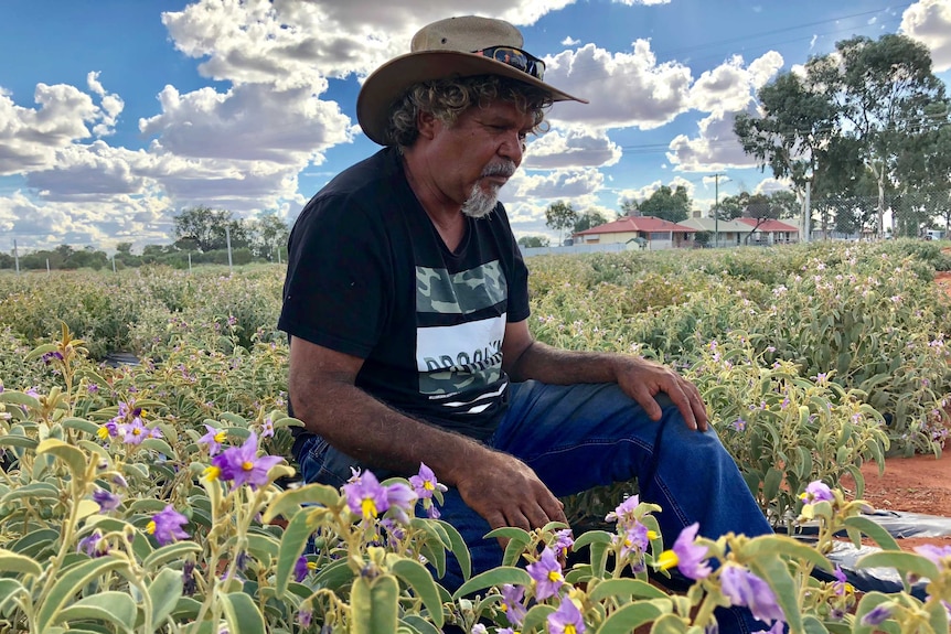 Man sitting and looking at his crop