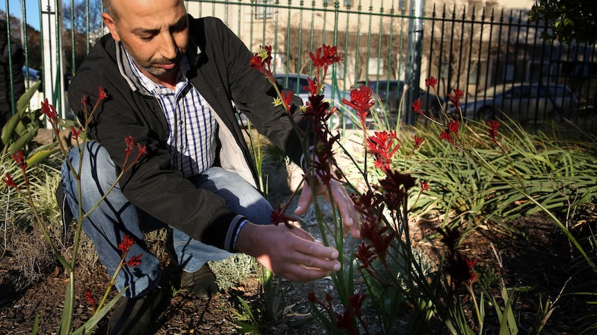 Syrian flower farmer Nader Hamouch with Australian flowers.