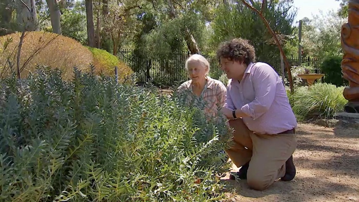 Lady and man squatting to look at native plant bush
