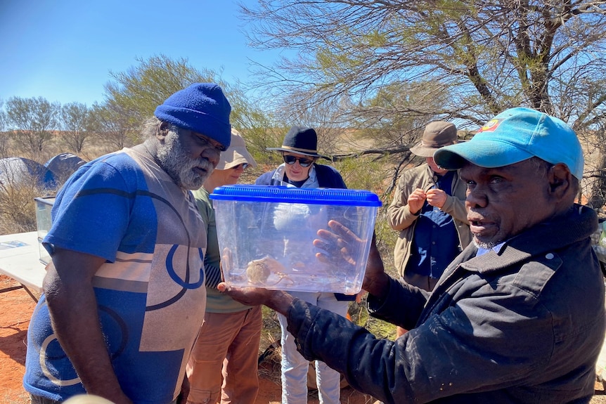 two men in the bush look at an animal  in a glass box.