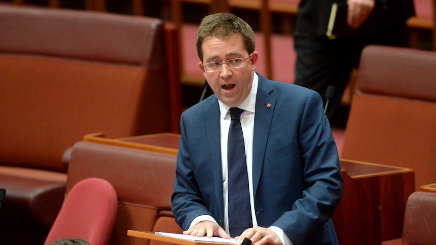 Liberal Party Senator James McGrath delivers maiden speech to the Senate on July 16, 2014