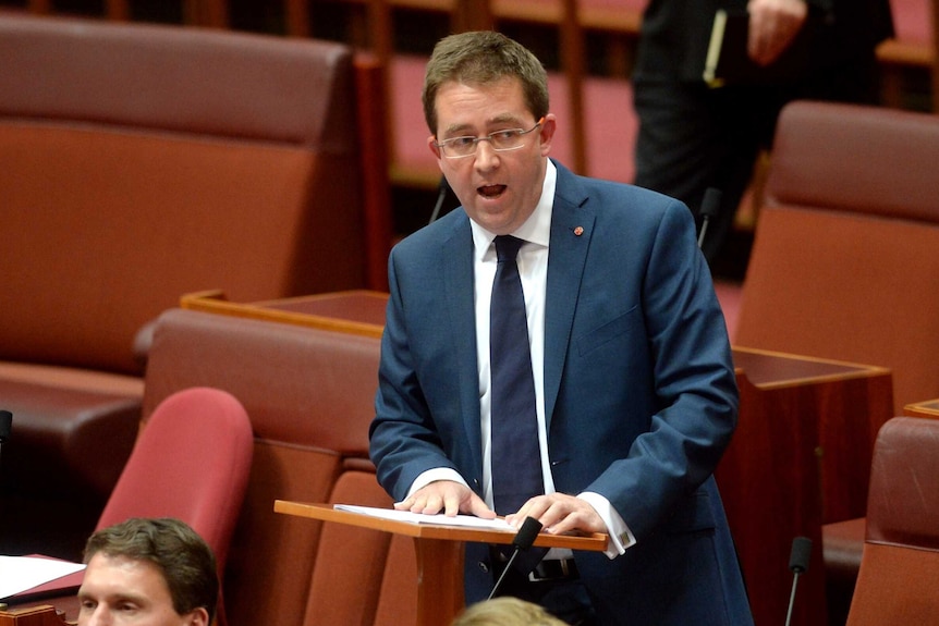 Liberal Party Senator James McGrath delivers maiden speech to the Senate on July 16, 2014