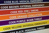 Screenshot of Royal Hobart Hospital colour codes of differing emergency statuses.