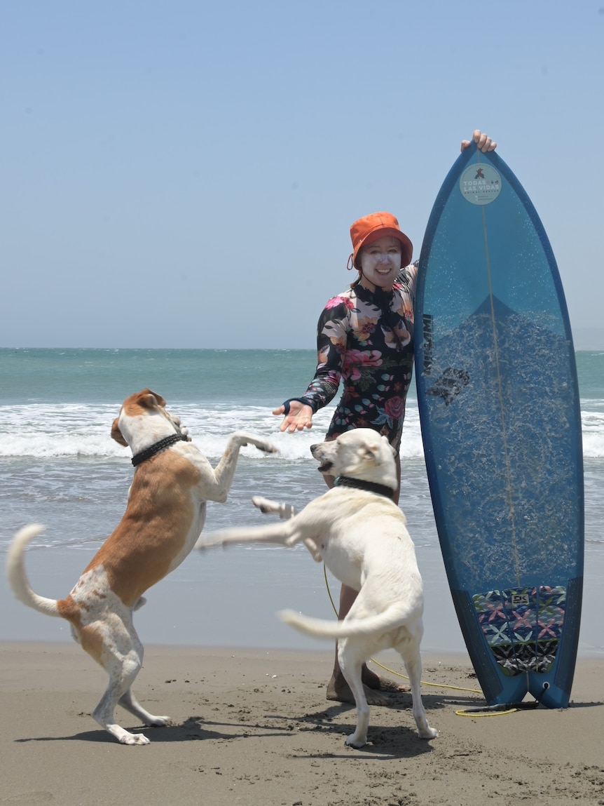 A woman surfer wearing a hat and zinc stands next to a surfboard, and two dogs are in front of her
