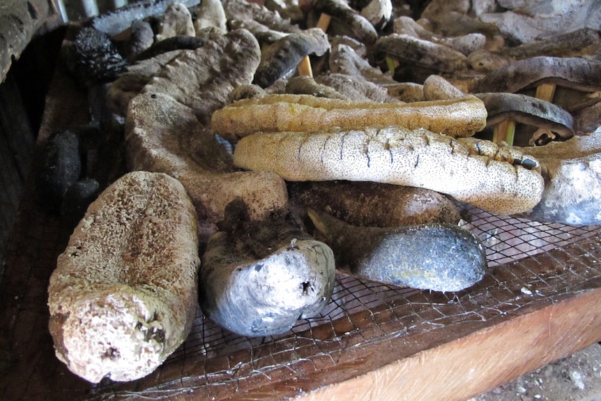 Dried sea cucumbers laid on wooden table.