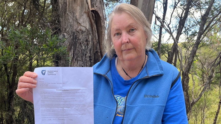 Dix-neuf Tasmaniens bannis indéfiniment de l’ensemble du domaine forestier public indigène après des manifestations contre l’exploitation forestière