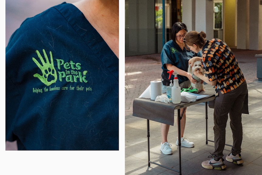 A collage showing a close-up shot of a Pets in the Park logo printed on a shirt and a volunteer checking a dog