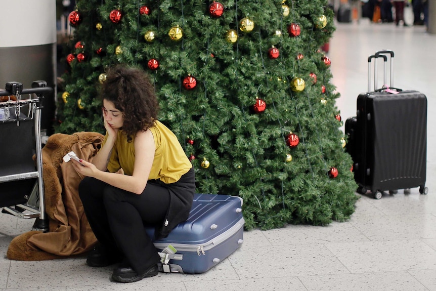 Passenger waits next to a Christmas tree