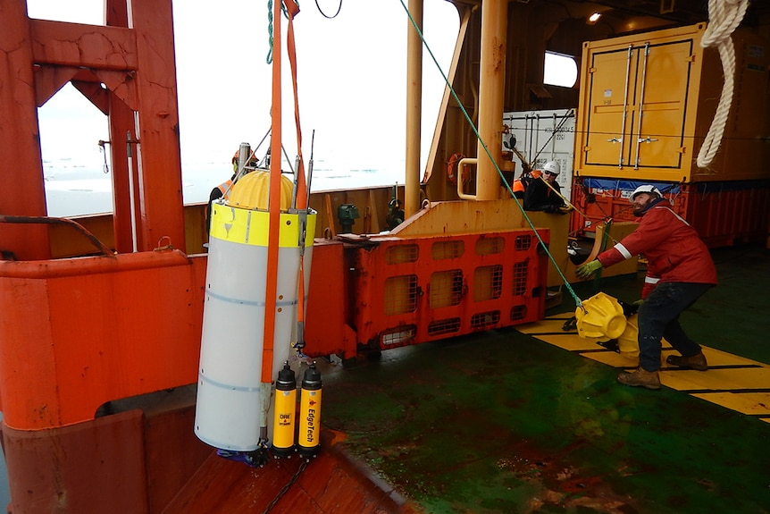 Acoustic mooring device being retrieved from Southern Ocean.