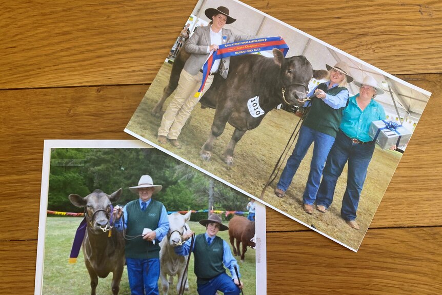 Photos of people standing next to prize winning cows, with show ribbons