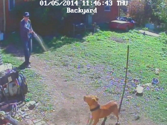 CCTV image of a police officer spraying a dog with pepper spray.