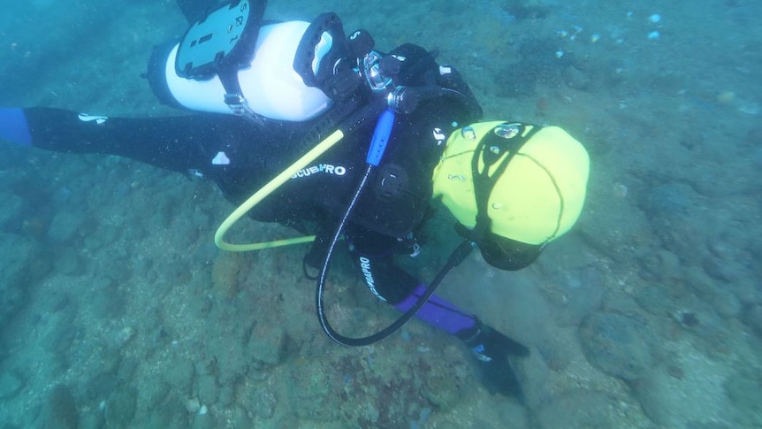 A diver scouring the sea bed for artefacts