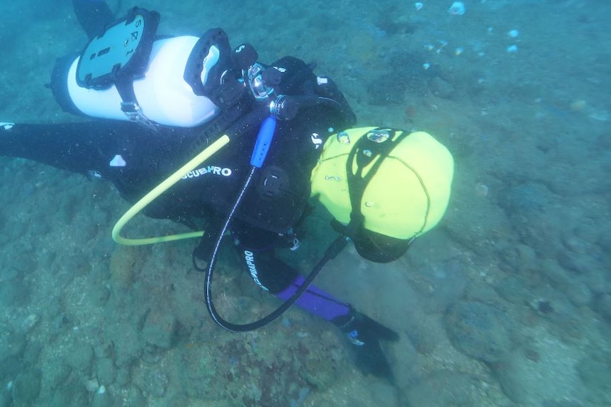 A diver searches the sea floor