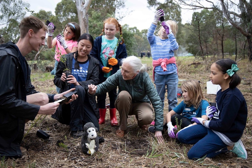 Jane Goodall and a group of children plant trees in a park.
