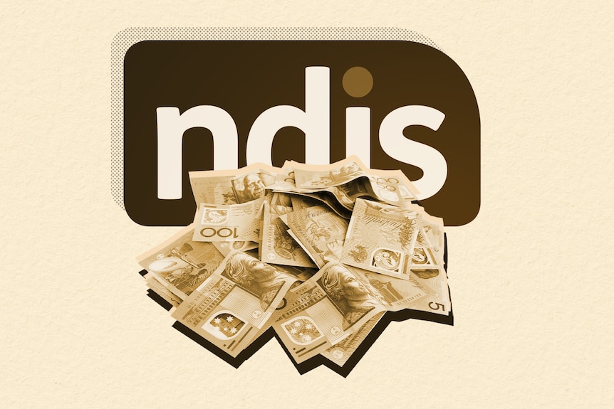 A graphic of the NDIS logo and money.
