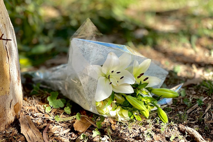 A bouquet of white lilies laid on the ground under a tree