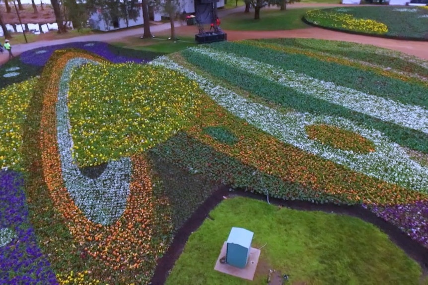 Shot from above of flowers in a garden designed in shape of planets