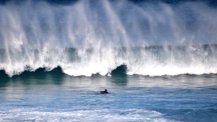 Spray flies off the top of a wave at Gunnamatta ocean beach, Victoria.