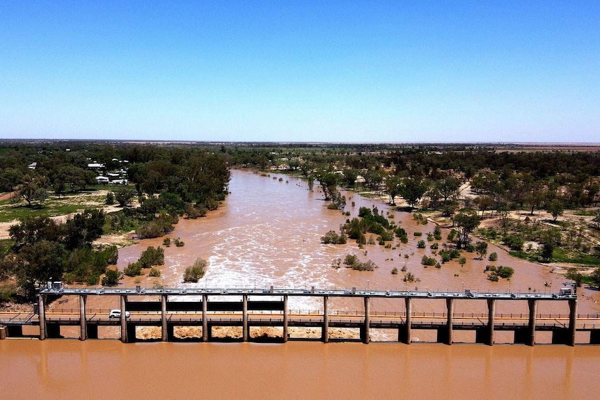 Vehicles drive on a bridge over the swollen Balonne River in south-west Queensland.
