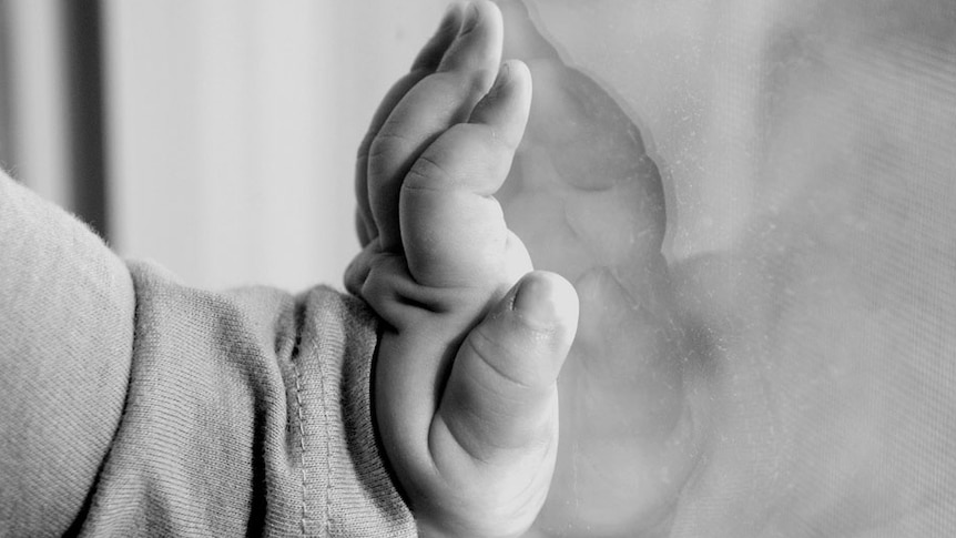 Child's hands (Flickr: Veronika Slavova)