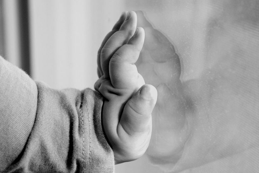 A child presses her hand against a glass window.