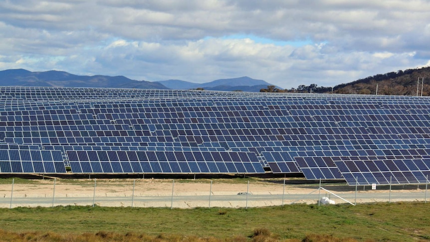 Solar panels at Royalla, ACT