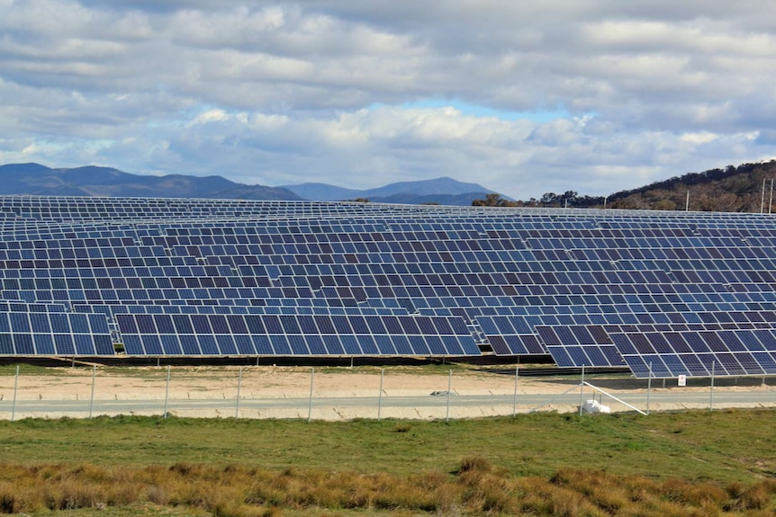 Solar panels at Royalla, ACT