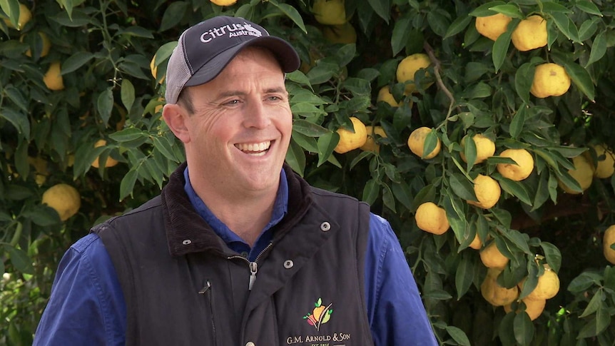 Farmer laughing about the look of yuzu