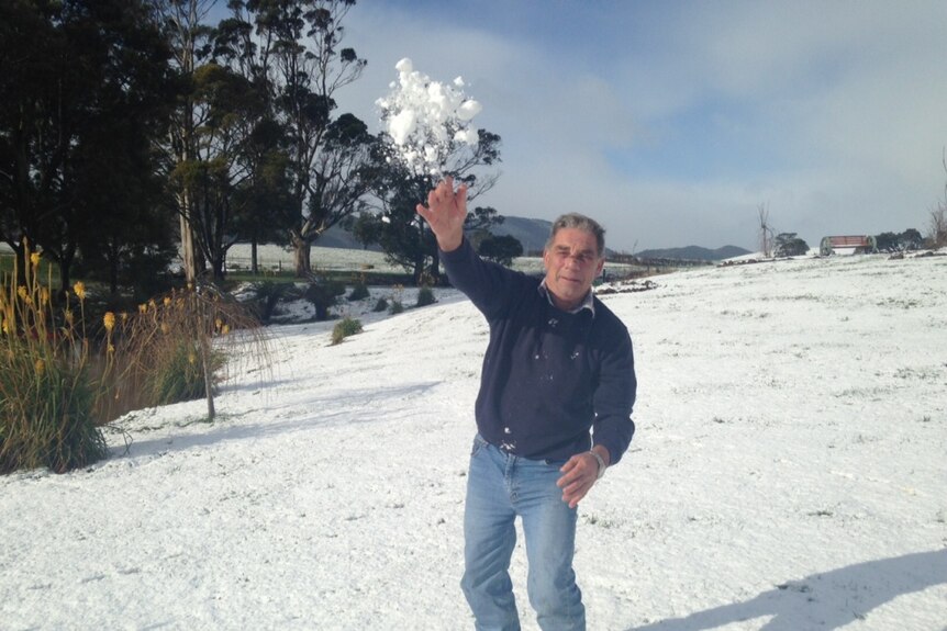 North-west Tasmania cattle farmer Ian Wright throws a snowball for the first time ever