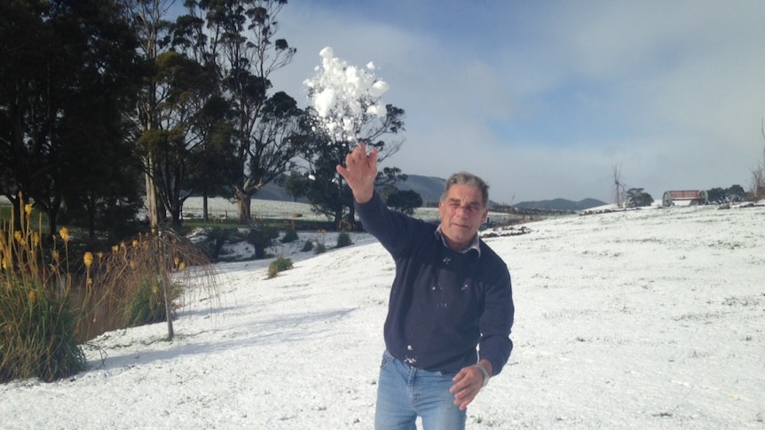 North-west Tasmania cattle farmer Ian Wright throws a snowball