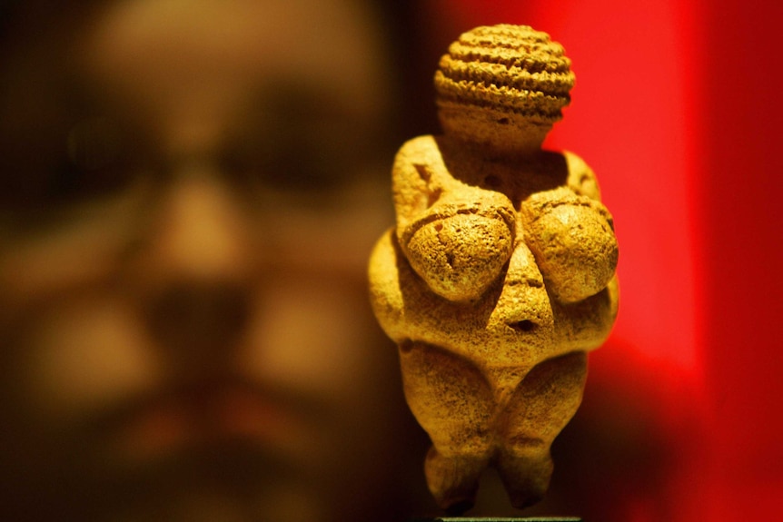 The statue Venus of Willendorf