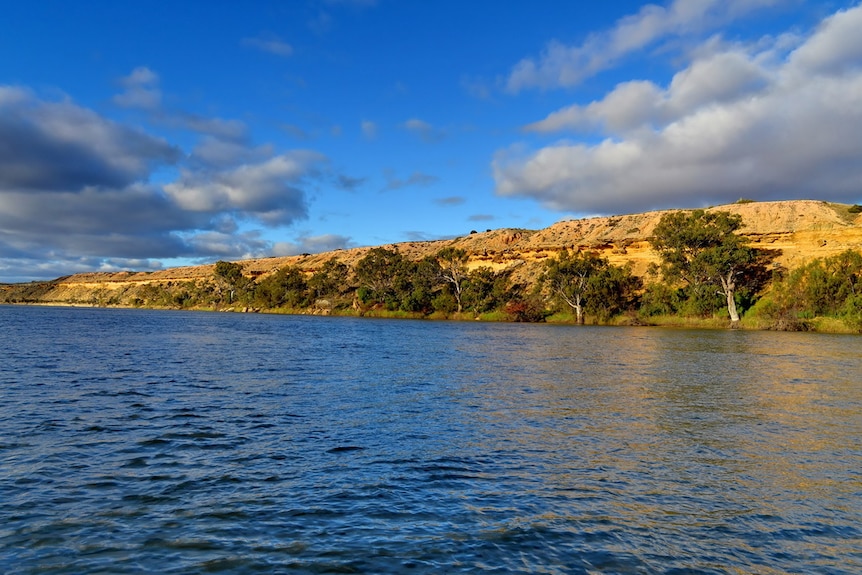 The future water demands on the Murray have been in the spotlight