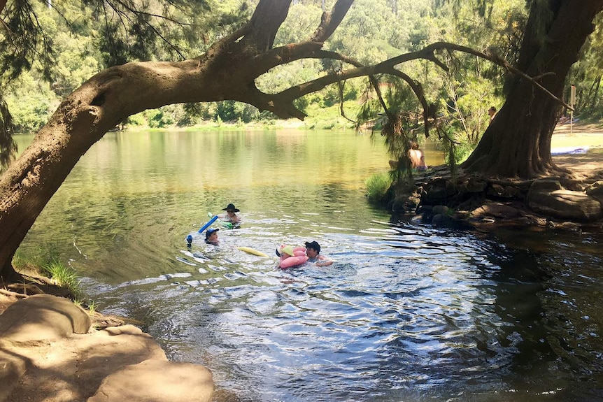 People swimming.