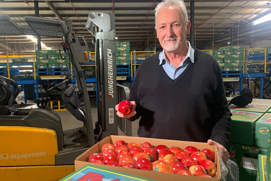 A man holds up an apple in an apple packaging factory with a tray of apples in front of him.