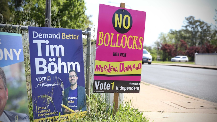 Two roadside signs spruiking independent and minor-party candidates.